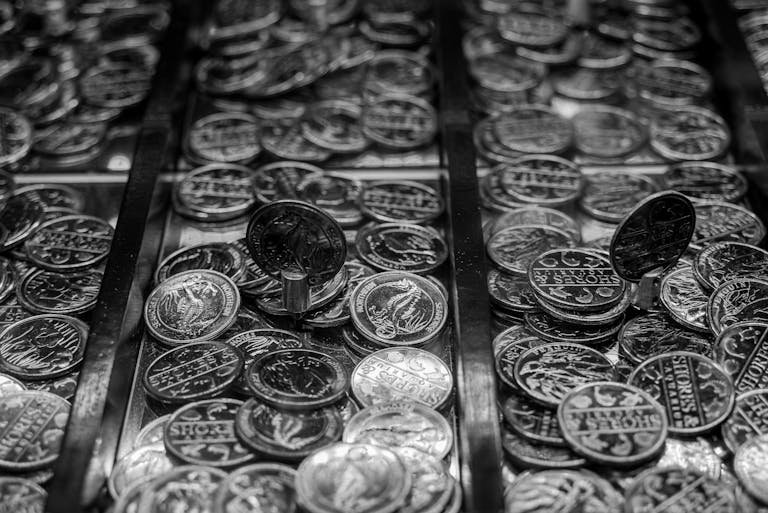 Black and White Close-up Photo of Coins