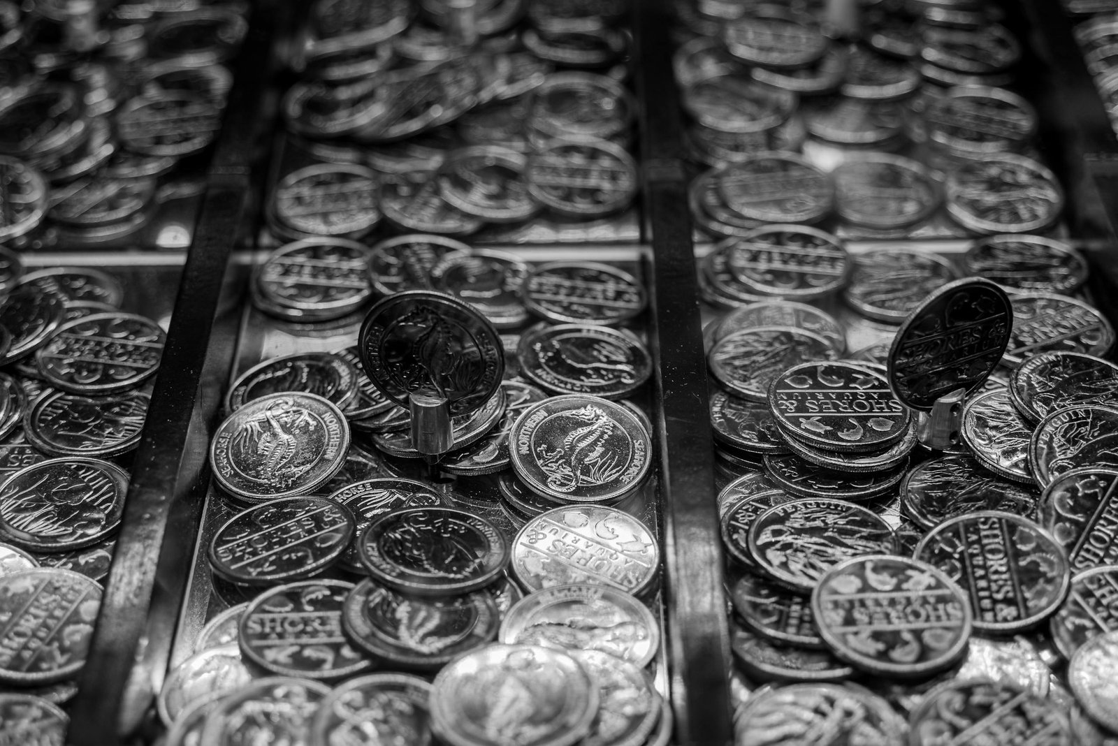 Black and White Close-up Photo of Coins