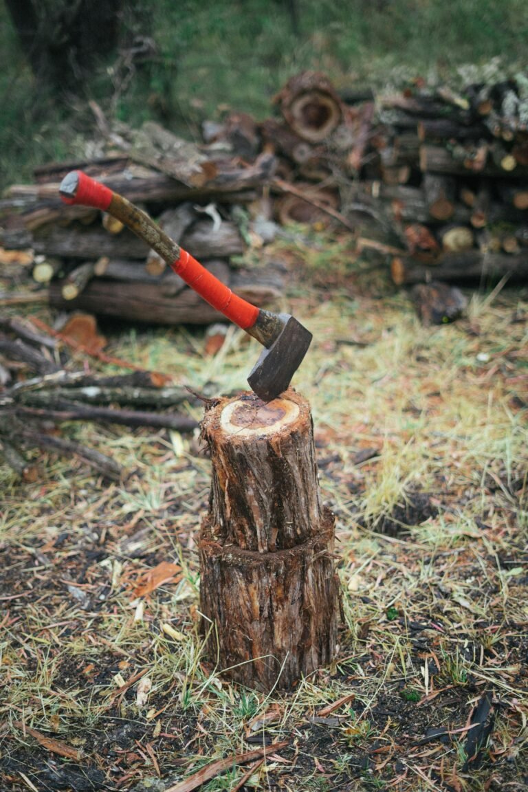 A photo of an axe